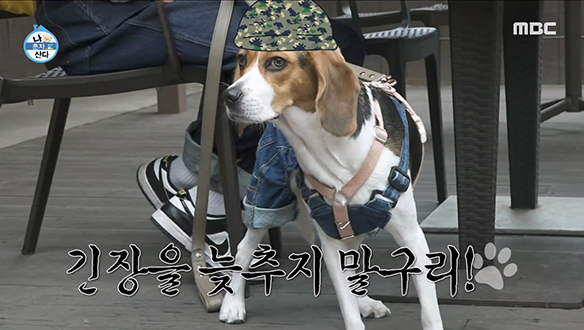 캠핑 전 들린 휴게소에서도 '긴장을 늦추지 말구리!' 간식 먹으면서 눈치 보는 창섭💦 클립 이미지