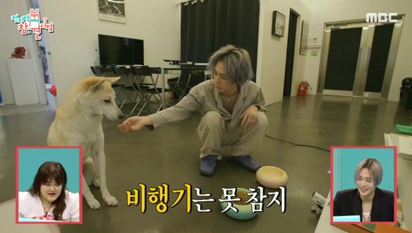 주인 닮아 식욕 없는 햇님이와 작업실에서 시작하는 던의 하루🌞