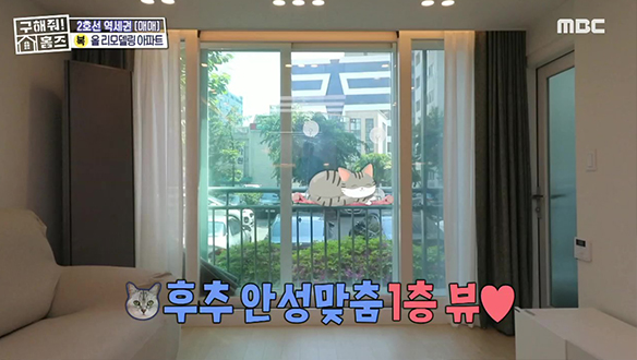 <영등포구 문래동 엄마엄마 나 이사 왔어 나♪> 반려묘를 위한 명당 뷰♬ 클립 이미지