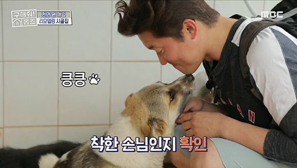 <집 보러 왔는대호> 꽹가리 초인종😉과 집 안지키는 반려개가 반겨주는 집  클립 이미지