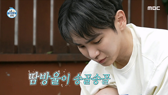 식집사 키에게 닥친 잡초 지옥😱 '텃밭에서도 역시 아이돌! 땀 흘려도 예쁘고 청량해~❤️💦'