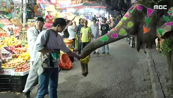 인도 과일가게에서 만난 코끼리?! 아낌없이 주는 기안84