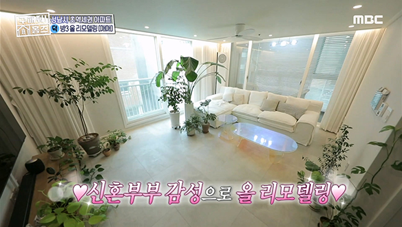 <닥터 차정숲> 채광 가득 들어오는 통창에 숲에 들어온 듯 식물 가득!