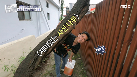 <집 보러 왔는대호~> 재미있는 사선 나무가 있는 레트로 감성 신혼집!