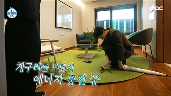 찬개구리의 영감의 원천!🐸 개구리가 가득한 롤-하우스 방문