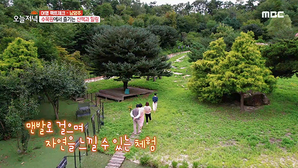 수목원에서 즐기는 산책과 자연 속 맨발 걷기 체험! 클립 이미지