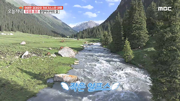 해발 2600m의 작은 알프스 같은 곳!