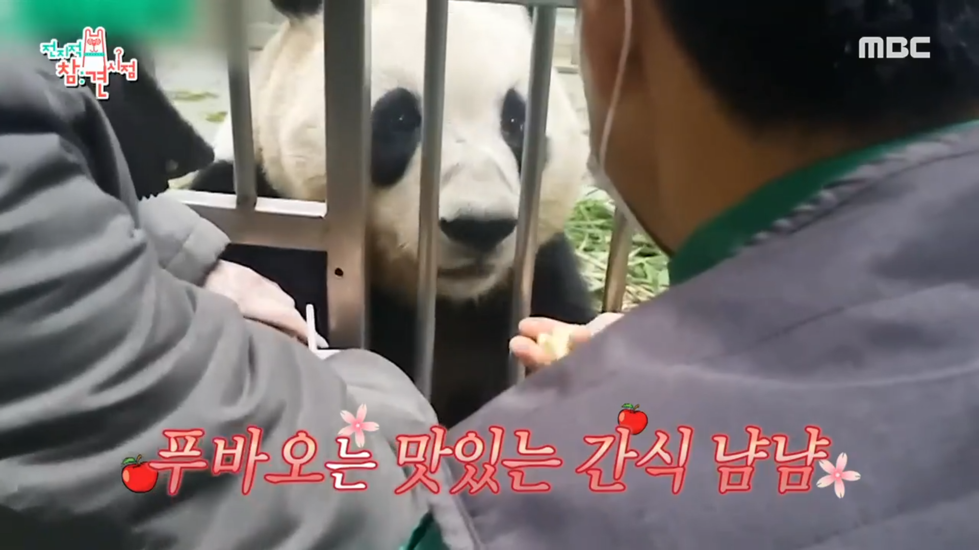 슈푸스타 매니저의 하루🔥