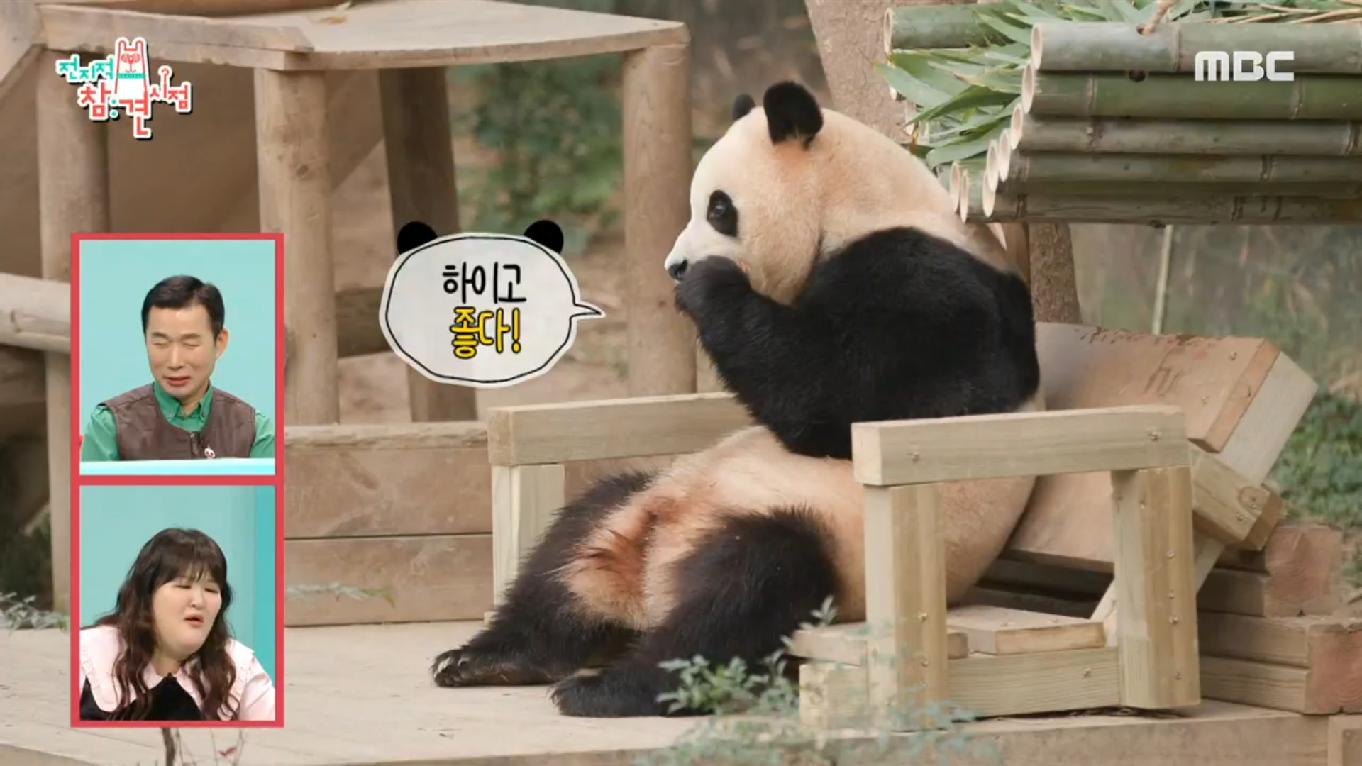 푸사원 오늘도 출근 완료😎