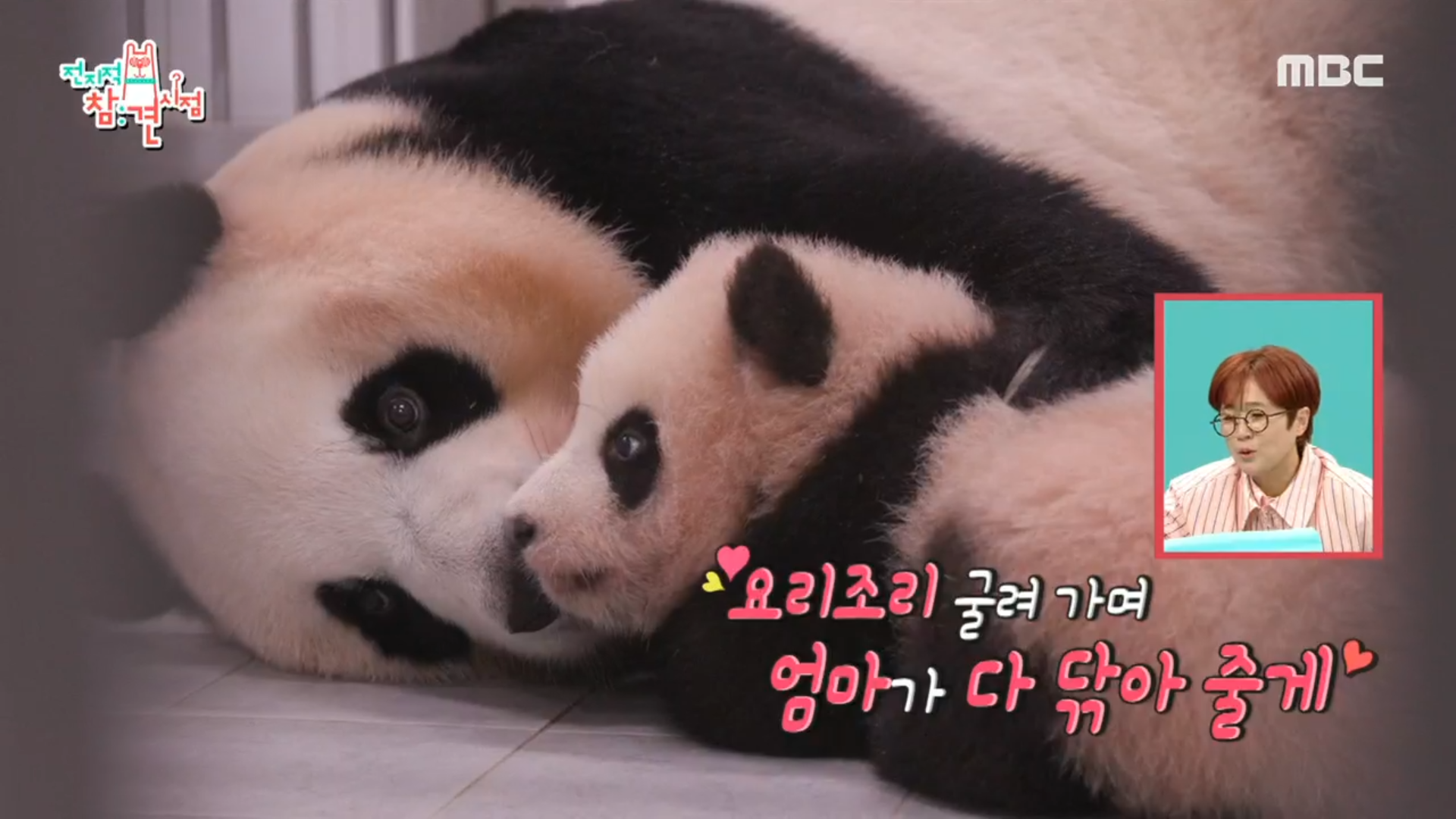 이뻐이뻐 아이바오❤️