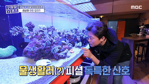 <취미부자의 홈오피스> 반려 산호, 반려 거북이, 비밀스러운 오디오 룸까지.. 너무 부러운 대호..!