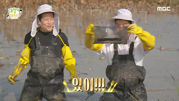 미꾸라지 있다니까~알뜰살뜰 줍는 논밭의 미꾸라지!!  클립 이미지