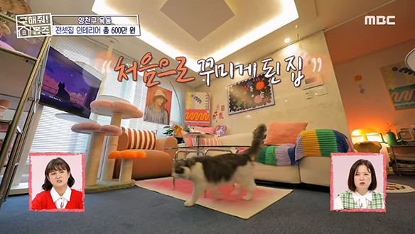 <전세 인테리어> 소품 하나하나 유티크한 컬러 매치☆ 심심할 틈 없는 다채로운 인테리어