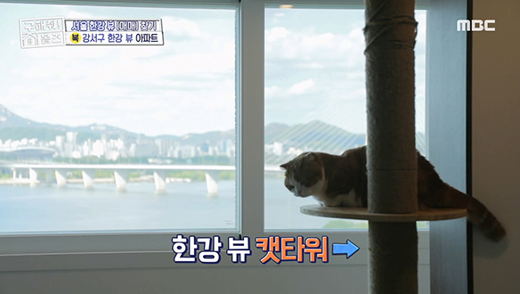 <아차! 하면 한강> 굿바이 재택 스트레스! 숲 뷰와 한강 뷰를 동시에 즐기는 로맨틱 하우스  클립 이미지