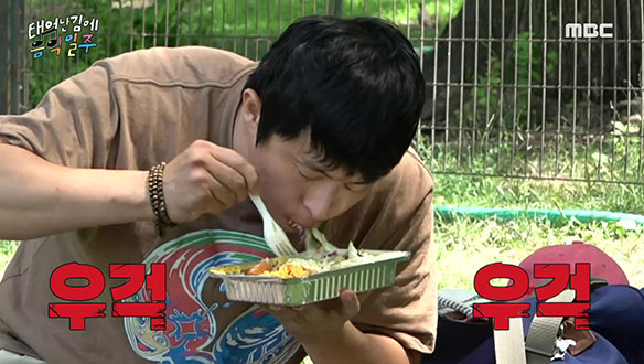 맨해튼의 중심 센트럴 파크 잔디밭에서 즐기는 한결같은 기안적 식사😋 클립 이미지