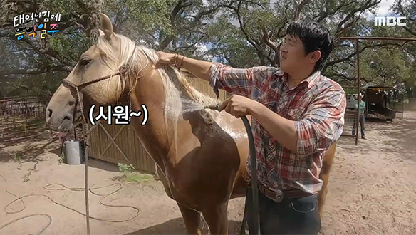 고생한 말들에게 특급 마사지 서비스 해주는 기안84 🐎