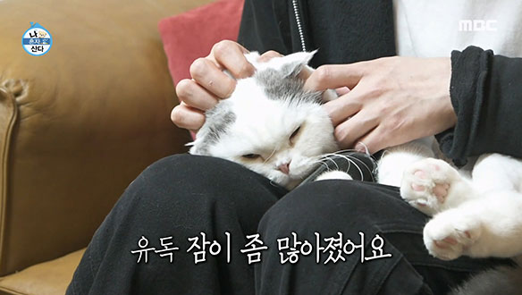 안재현, 안주와 함께하는 행복한 시간💓 