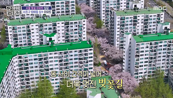 <방배 삼호아파트> 아파트 아래 펼쳐진 벚꽃길에 낭만 가득 ♥