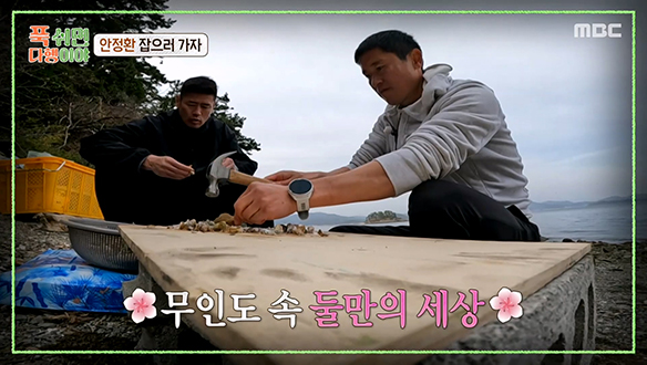 무인도 속 둘만의 세상?! 이영표 & 설기현의 한 몸 같은 움직임으로 완료한 촛대고둥 손질🤣