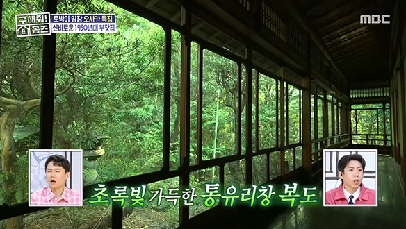 <쇼와 34년 권력가의 古민가> 영화 세트장 같은 초록빛 가득한 통유리창 복도💚