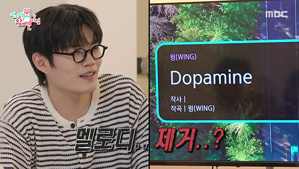 < Dopamine >멜로디 제거 버전 도전하는 윙 & 히스🤣