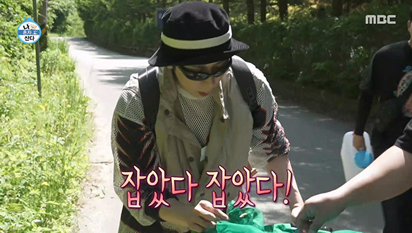 제비나비 채집에 성공한 코숭이 코쿤!🦋