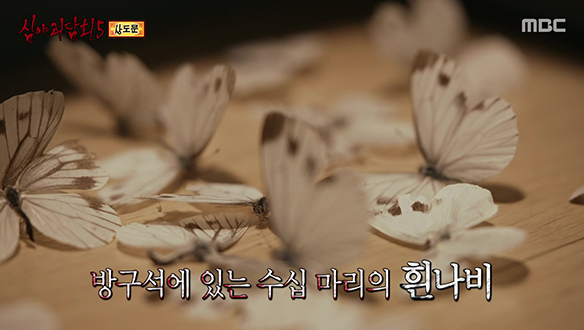 상도문 ① 모녀의 곁을 맴도는 흰나비