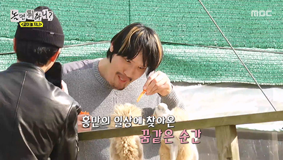 알파카 목장 입성! 홍만의 일상에 찾아온 꿈같은 순간💕