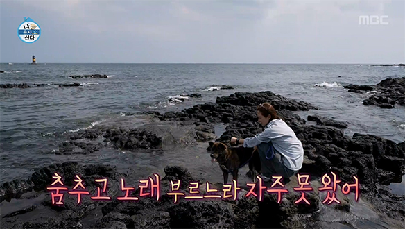 오랜만에 만난 제주 친구🐾 유리와 똥글이의 신나는 바닷가 산책🌊