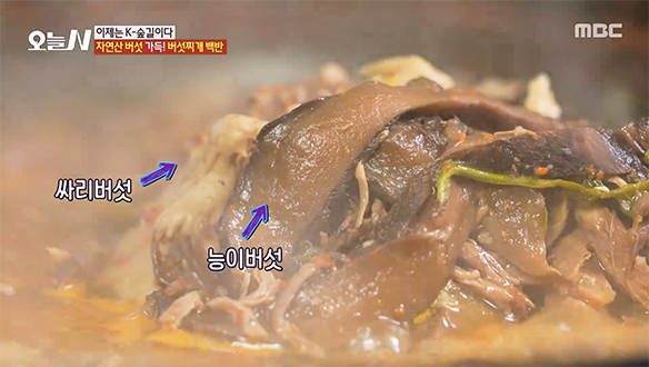 먹자마자 감탄이 절로! 입안 가득 퍼지는 진한 버섯향 '버섯찌개 백반'