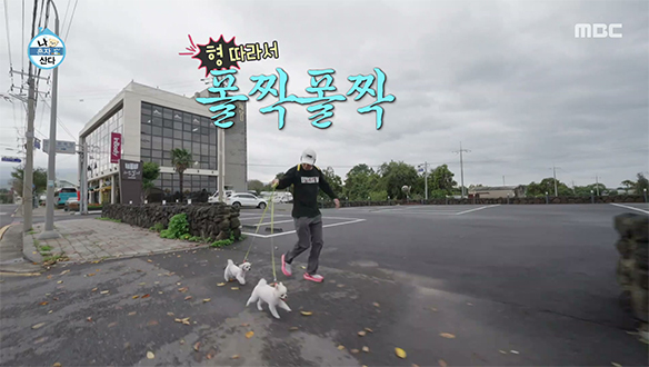 폴짝폴짝 신이 난 털동생들🐾 생일날 아침 등원시키러 간 기안84🐶