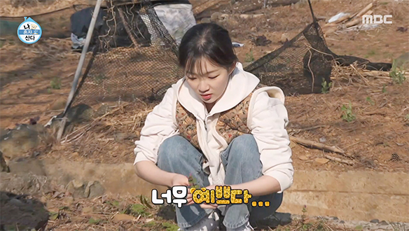 나물 사냥에 푹 빠진 아기 맹수 김시현🌿