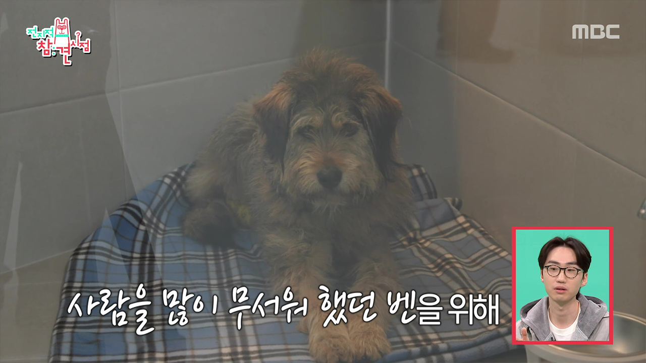 공군 활주로에서 총 6발을 맞고 구조된 벤...