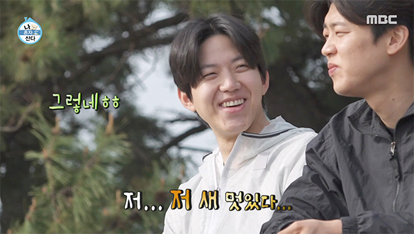플레이어