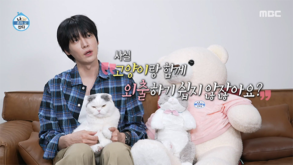 13년 만의 도전?!😲 안재현, 반려묘 안주와 함께 향한 곳은?!🐈