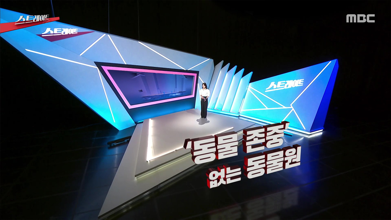 '동물 존중' 없는 동물원