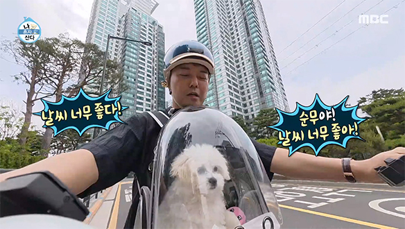순무의 사회성 발달을 위해 근처 핫플로 떠나는 전현무🐶