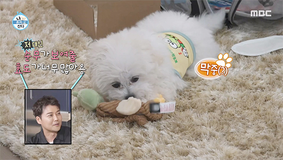 내 몫까지 부탁해?!👀 전현무 부모님께 웃음을 되찾아준 복덩이 순무🌟