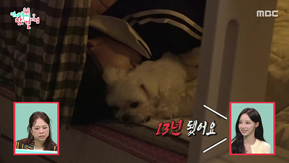 아침부터 꼬순내 테라피로 시작하는 원이🐶