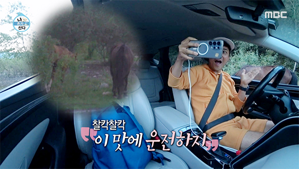 5시간 밤샘 운전 중에 ‘말’ 등장?!🐎 전현무 피로 싹 잊게 만든 힐링 모먼트✨
