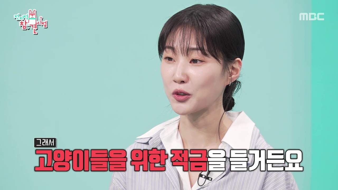 다다&제제 적금도 든다?! 냥이들의 봄날의 햇살 하윤경😺