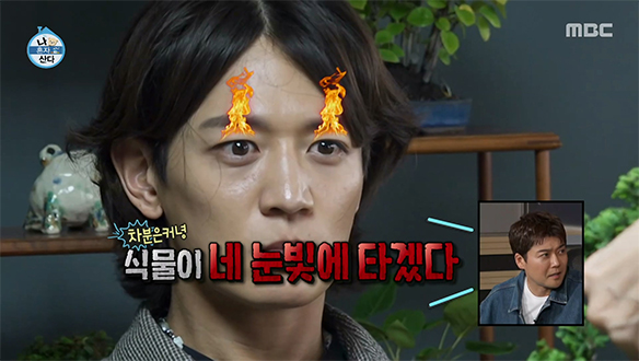 분재 새싹으로 무럭무럭 성장 중?!🌱 열정남 민호의 차분 테라피🌿