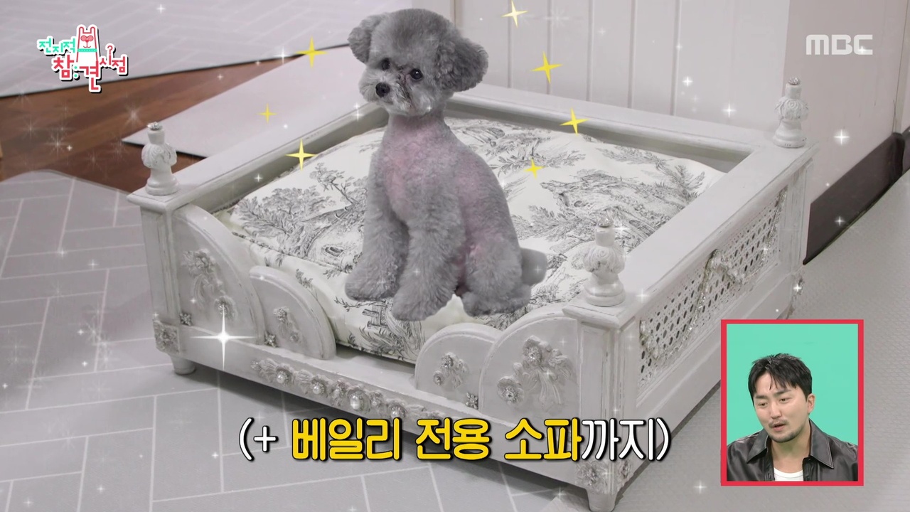침대는 강아지 차지🐶 효연은 오늘도 바닥 취침?!