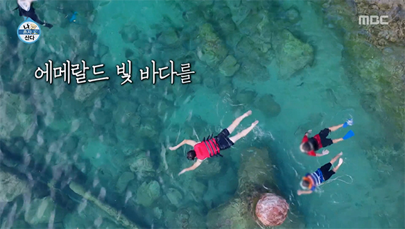 에메랄드빛 바닷속 유유히 헤엄🤿 스노클링 성지 용화항에 푹 빠진 김대호🌊