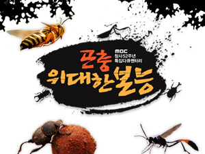 [MBC 창사특집 다큐멘터리 <곤충, 위대한 본능>]