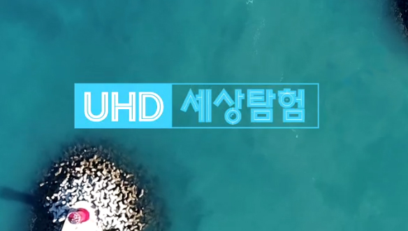 UHD 세상탐험