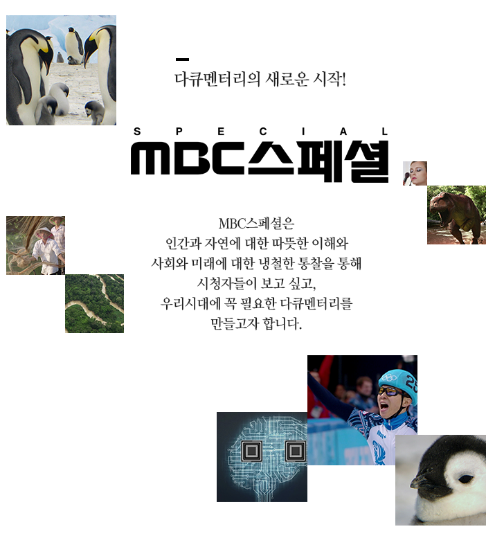 다큐멘터리의 새로운 시작!
MBC 스페셜

MBC 스페셜은 인간과 자연에 대한 따뜻한 이해와
사회와 미래에 대한 냉철한 통찰을 통해
시청자들이 보고 싶고,
우리시대에 꼭 필요한 다큠멘터리를 만들고자 합니다.