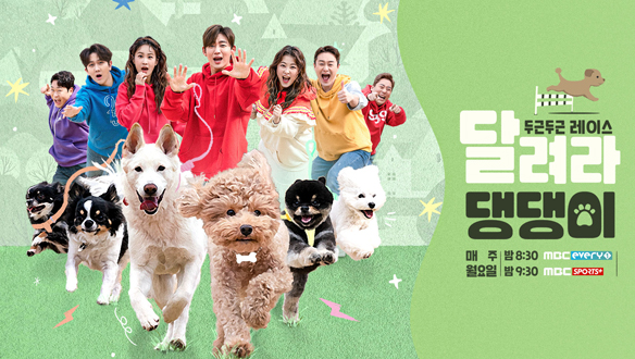 달려라 댕댕이