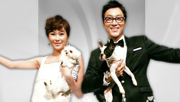 [특집]스타의 개를 소개합니다