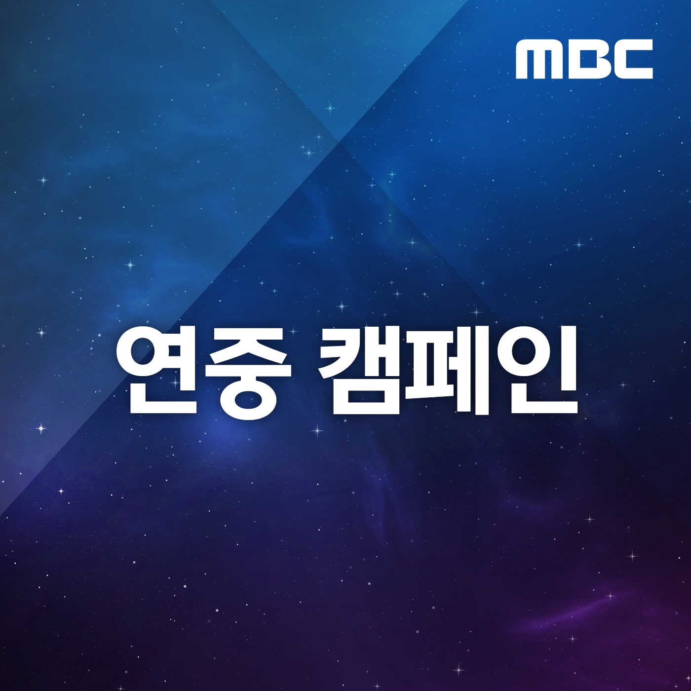 연중 캠페인